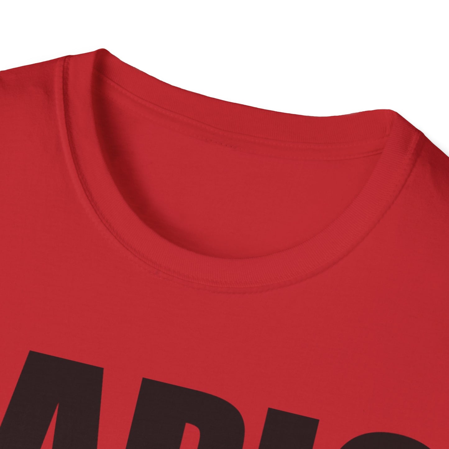 "Sapiosexual" Unisex Softstyle T